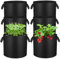 Lot de 6 Sac de Plantation Non Tissé 20L avec Poignées Renforcées, Sac Plantation Pomme de Terre, Sacs de Culture en Tissu Non tissé Pots pour Plantes, Tomates, Fraises, Légumes (5 Gallons)
