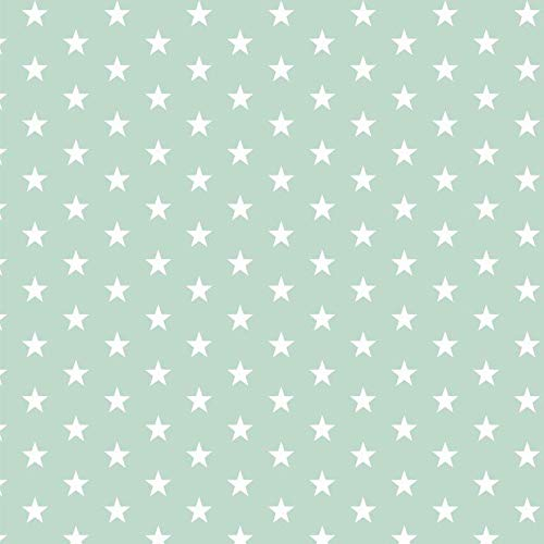 babrause® Baumwollstoff Sternchen Mint Webware Meterware Popeline OEKOTEX 150cm breit - Ab 0,5 Meter
