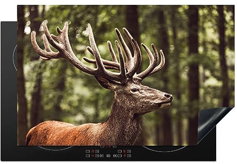 MuchoWow Herdabdeckplatte Ceranfeld Spritzschutz Küche Hirsch - Natur - Geweih - Wald - Tiere 80.2x52.2 cm Induktionsherd Abdeckung Induktionskochfeld Ceranfeldabdeckung