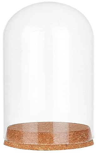 nbeads Cloche en Dôme en Verre Éternel, 16.3×10cm Couvercle de Dôme D'Affichage en Verre de Terrarium avec Base en Bois pour Chapelet Lumineuses DIY Décorations de Cadeaux Fleurs Conservées Artisanat