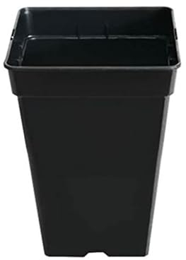 Control Garden Pack 20 Macetas Cuadradas para Plantas Negra 11 L - Maceteros de Plástico para Flores - Tiesto para Cultivos Resistente