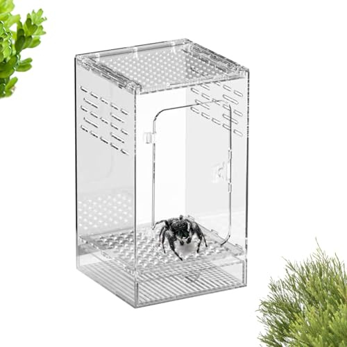 Arroopu Spinnen Terrarium - Belüftetes Reptilien Acryl Terrarium,Transparentes Käfer Habitat - Für Reptilien Gecko Mantis Grillen Skorpion Käfer Schlange Schnecke Schildkröte