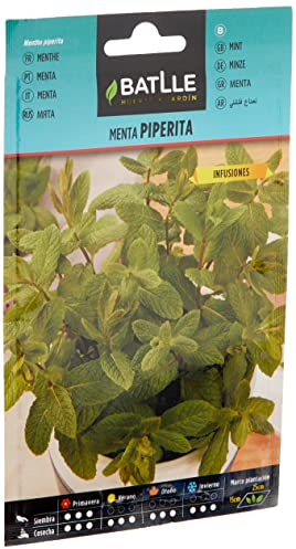 Semillas Batlle Menta Piperita