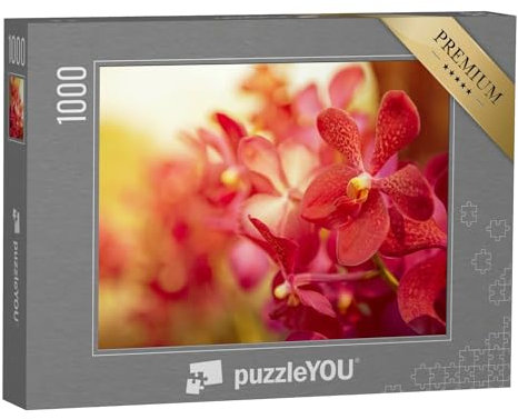 puzzleYOU: Puzzle 1000 Teile „Wunderschöne Orchidee im Abendlicht“ – aus der Puzzle-Kollektion Flora, Blumen, Pflanzen, Orchideen