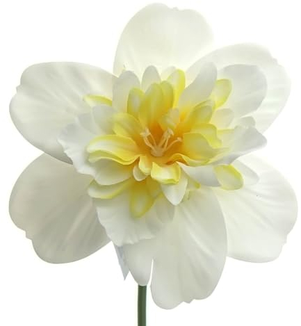 Gasper Osterglocken - Narzissen Weiß & Gelb gefüllte Blüte 40 cm - Kunstblumen, 3022084-40
