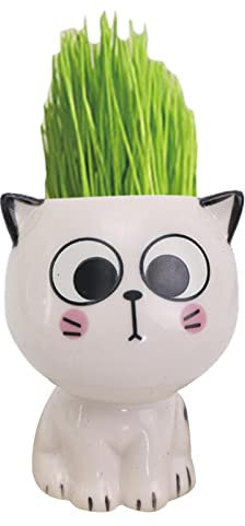 Vaso per piante grasse a forma di gatto – Vasi per cactus a forma di animale in stile cartone animato, ornamenti per gatti con espressione carina | Testa bambola pianta in vaso, decorazione per casa e