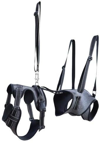 Harnais de levage pour chien - Aide à la rééducation pour animaux de compagnie, aide au transport réglable et corset de soutien pour l'entraînement de rééducation, la récupération et les chiens âgés