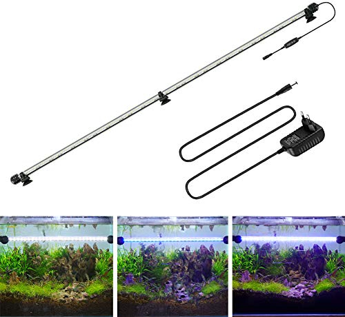 BELLALICHT LED Timer Aquarium Beleuchtung - Aquarien Lampe [Weiß Blau Licht] mit eingebautem Timer Dimmer, Dimmbar 10 Helligkeitsstufen IP67 Wasserdicht Light für Fisch Tank Pflanze, L-93