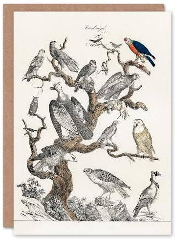 Artery8 Vintage Illustration Art Card Birds of Prey Perched on Tree