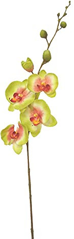 ARTIFICIAL FLOR INDIVIDUAL ORQUIDEA VERDE PISTACHO ROJO