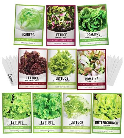 Gardeners Basics Salad Greens Seeds for Planting, 10 Heirloom Varieties