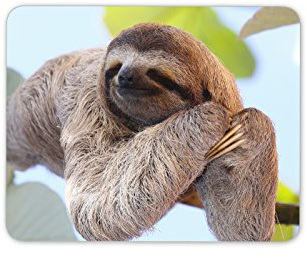 Destination Vinyl Ltd Lazy Sloth Mouse Mat Pad - Sloths Cute Animal Kids Funny Gift PC Computer #8487