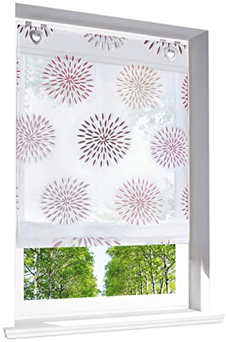 Raffrollo mit Kreis-Motiven Druck Design Rollos Voile Transparent Vorhang (BxH 100x140cm, Violett mit U-Haken)