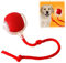 Donubiiu Pfotenstern Magic Ball, Interaktiver Spielball Pfotenstern, Magic Ball Hund, Elektrisch Interaktiver Hundespielzeug Kauzauberball mit Schwanz, für Katzen und Hunde (Rot)