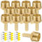 12PCS Raccord Cannelé Laiton Tube Barbelé Droit, 8mm x G3/4 Mâle Filetage Tuyau Coupleur Connecteur Adaptateur avec Acier Inoxydable Tube Pince