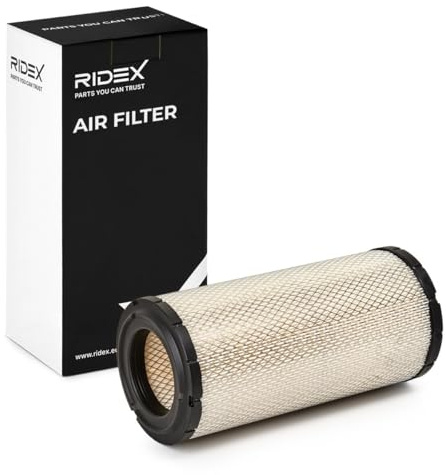RIDEX 8A0424 Filtro aria Compatibilità con IVECO Daily VI Van