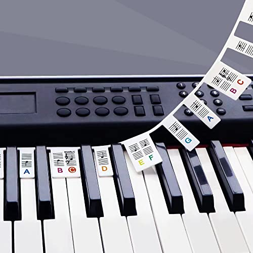 Removable Piano Keyboard Stickers for Beginners, Reusable Silicone Piano Key Labels for 88-Key Full-Size Keyboards – No Residue, Easy Learning for Kids & Adults (Color)