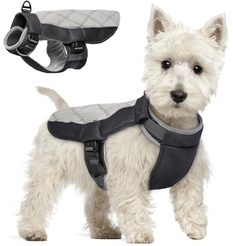 Kühlweste Hund, Sommer Kühlgeschirr für Hunde mit D-Ringe, Sonnenschutz Hund Kühlmantel, Kühlendes Hundegeschirr Hundekühlwesten für Heißen Sommertagen Outdoor Aktivitäten, Anthrazitgrau M