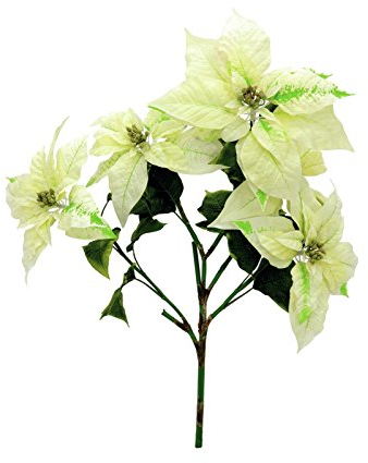 Unbekannt Weihnachtsstern-Busch, cremefarben, 60cm, Kunstpflanze