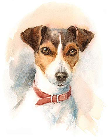 Wee Blue Coo Hund Jack Russell Kunstplakat Ungerahmter Druck 30x40 cm