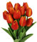 N&T NIETING Artificial Tulips Flowers, 12Pcs Fake Tulip Real Touch Latex Tulips Faux Flowers Bouquet for Wedding Floral Arrangements Valentine's Day Mother's Day Easte Home Decoration(Sunset Red)