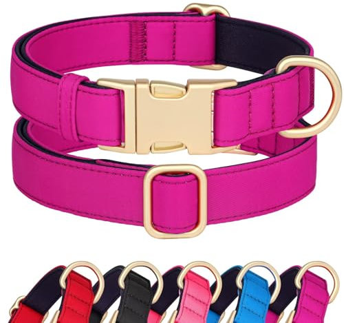 Didog Hundehalsband aus Nylon, weich gepolstert, strapazierfähiges Hundehalsband mit Schnellverschluss-Metallschnalle, leichtes und atmungsaktives Hunde Halsband für große, mittelgroße,Hot Pink,M