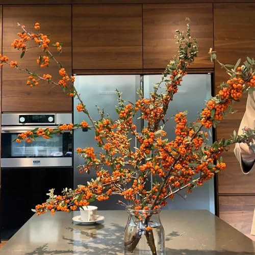 semi di olivello spinoso - serra albero da frutto balcone Hippophae ramnoide arbusti resistenti alberi da frutto colonnari piante resistenti semi di piante vecchie varietà pianta da 200pcs