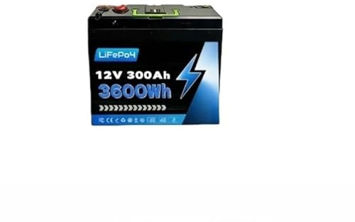 LiFePO412V 300Ah Batterie Lithium Fer Phosphate 3600Wh Bateau De Camping Affichage Intégré Batterie Rechargeable Ultra Grande Capacité(4800mah)