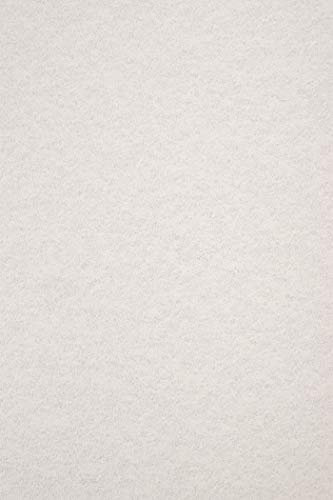 Netuno 100x Marmor-Karton Hell-Grau DIN A4 297 x 210 mm 180g Aster Laguna Grey Marmorpapier Ausstattungs-Karton marmoriert Effektkarton Bastelkarton Motivkarton Designkarton Urkundenkarton