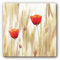 Mohnblumen Glasbild Wohnzimmer Poppies Klatschmohn Bilder Blumenwiese Frühling + Wandhalterung 50x50cm