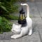 mikilov Katze Harz Statue mit Solar Laterne (Schwanz）- Outdoor Laternen&Indoor Statue Dekorationen für Garten,Hof,Veranda,Haus,Balkon