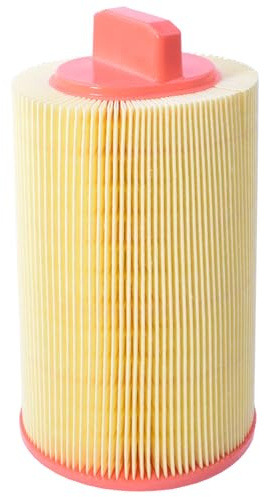 Castrol Filters CA0125 Air Filter