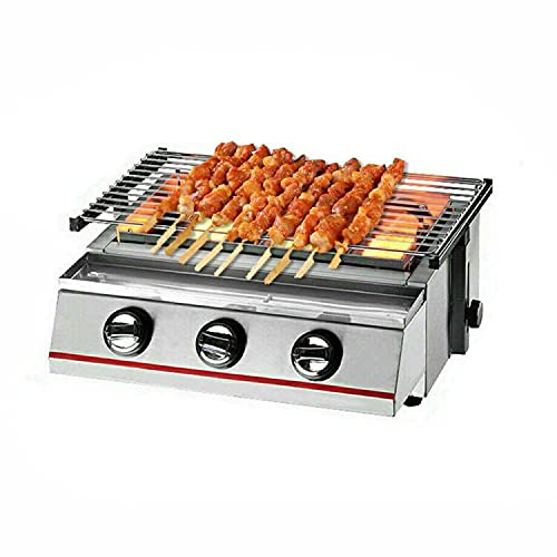 Barbecue portatile a gas – 2 fuochi in acciaio inox propano barbecue da tavolo per campeggio, picnic e uso esterno