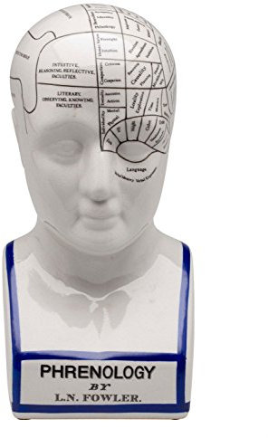 aubaho Großer 30cm Phrenologie Kopf Büste Anatomie Heilpraktiker Arzt Medizin Fowler