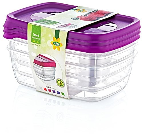 Hobby Life 0,6 l, 3-teilig, Trend, rechteckig, Aufbewahrungsbox, Set, Transparent