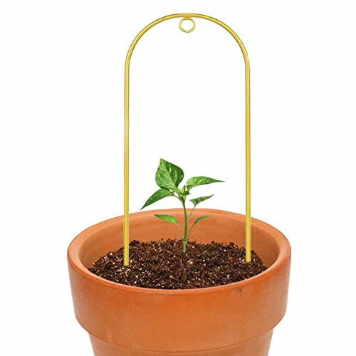 Rianpesn Pflanzenspalier Indoor - Kleines Metallgitter für Topfpflanzen, gewölbte Form,Pflanzenstützspalier mit Achat für Indoor-Kletterpflanzen Topfpflanzen Zimmerpflanzen Wein Efeu