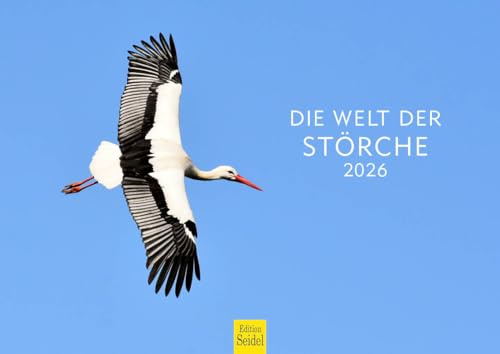 Edition Seidel Premium Kalender Die Welt der Störche 2026 Format DIN A4 Wandkalender Vogelkalender Weißstorch Küken Vögel Wildvögel Wildtiere