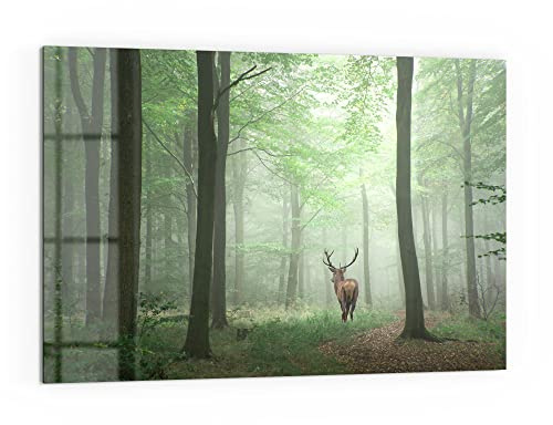 DEQORI Küchenrückwand Glas | Motiv Hirsch zwischen Bäumen | 60x40 cm | Bad- oder Herd-Rückwand | Herdblende Spritzschutz für Küche & Badezimmer | moderne Deko für Fliesenspiegel