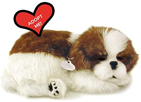 Perfect Petzzz 96293 Hund Plüschtier, Shih Tzu, one Size