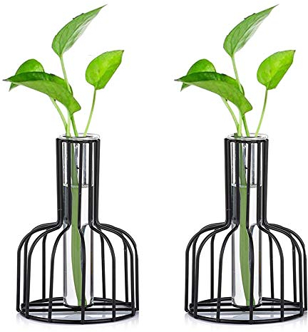 2 Stück Mini Vasen Set Glas Vase Schwarz Kleine Vasen Für Tischdeko Blumenvase Modern Bud Hydroponic Glasvase Reagenzgläser Für Blumen Hochzeit Wohnzimmer Deko Tablett Tisch Bad Dekoration