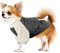 NAMSAN Hundepullover für Kleine Hunde Winter Hundepullover mit Taschendesign Warm Fleece Hundepulli für Kleine Hunde/Welpe-Grau, M
