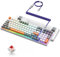ZIYOU LANG Mechanical Gaming Keyboard K3 PRO wired keyboard 10 Chroma RGB Blacklit 100 Key Full Key Anti-glitch Keyboard-ABS with Linear Red Switch,Coiled C to A Keyboard Cable for MAC/PS4/XBOX Gamer