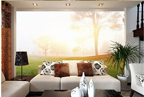 Fototapete 3D Effekt Nebel & Wald Wandtapete Moderne Wanddeko Design Wand Dekoration Wohnzimmer Schlafzimmer 250cm×175cm(Breite x Höhe)