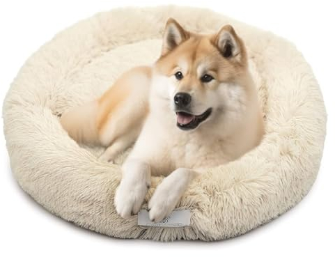 pfoten&nasen® Wolke 7 Hundebett S [Beige, 65 cm] – Flauschiges Donut-Kissen für kleine Hunde & Katzen – Waschbar mit abnehmbarem Bezug
