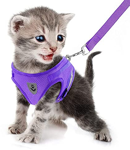 FEimaX Hundegeschirr mit Leine für Hunde Katzen Weich Mesh No Pull Katzengeschirr Reflektierende Verstellbare Atmungsaktive Welpen Brustgeschirr für Gehen Training