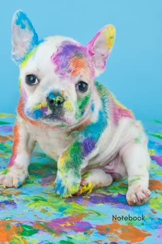 Notebook - Paint Splatter Frenchie: A4, Lined Notebook, Sticker book, Planner, Diary, Sketchbook, Writing, Gift, Student, Dog Lover