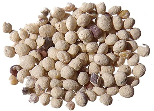 Micro-Trèfle Pipolina Enrobé (crème) - 3 Grammes - Trifolium Repens - Micro-Clover - (Engrais vert) - SEM05