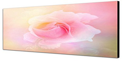 Augenblicke Wandbilder Keilrahmenbild Wandbild 150x50cm Rose Blume Nahaufnahme rosa