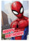 Marvel Spiderman Geburtstagskarte, Geschenkpapier und Anhänger-Set