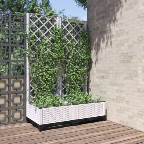 Mengtu Jardinera de jardín con enrejado blanco, 80 x 40 x 121,5 cm, polipropileno, jardinera con celosía, jardinera con rejilla, jardinera con espaldera, jardinera decorativa